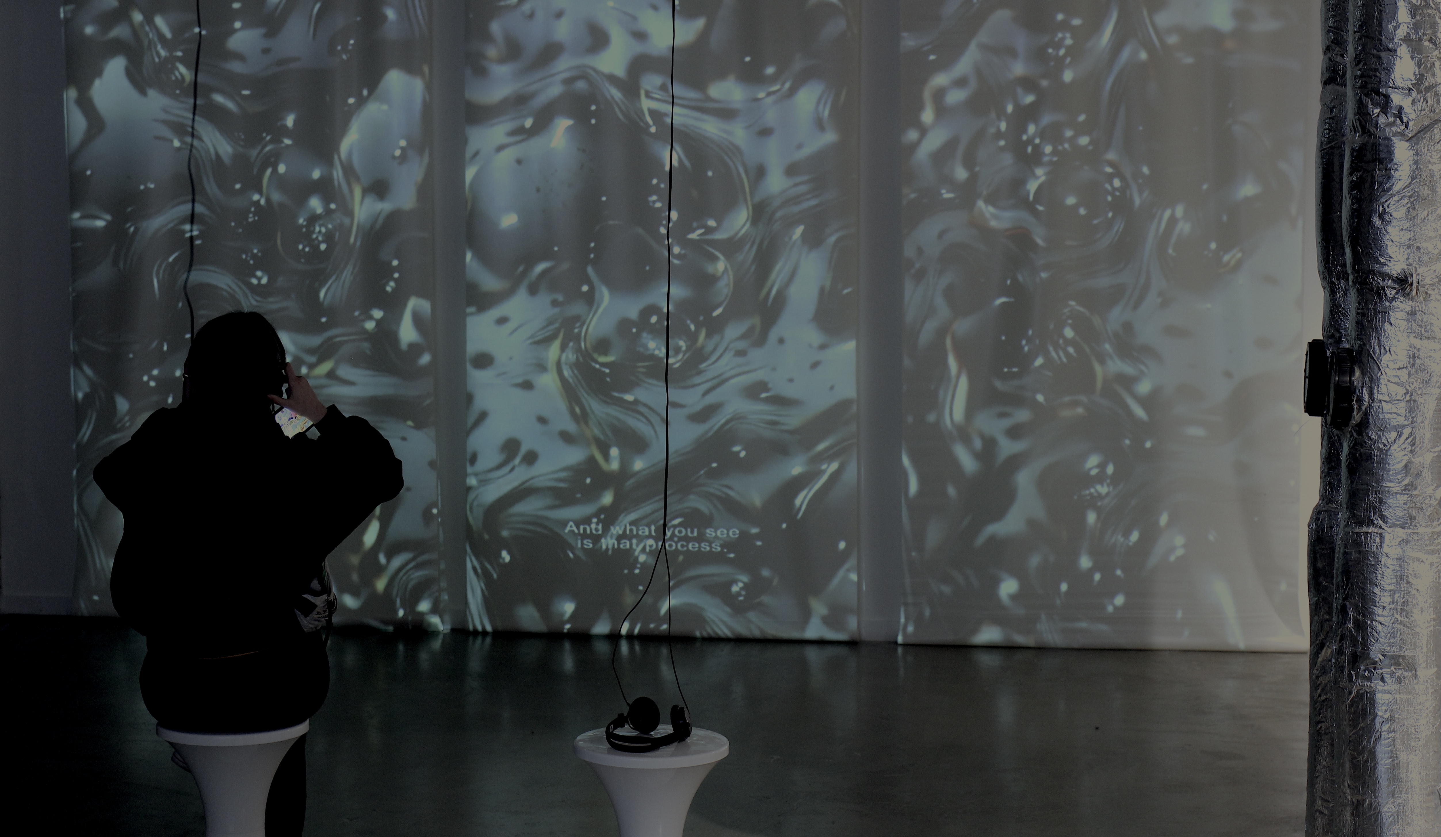 Learning a blind eye — Peckham Digital install view